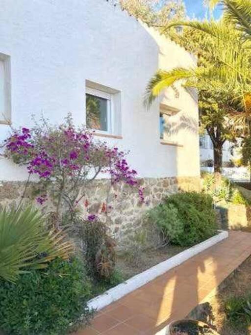 Amplio Apartamento Con Jardin En Almadrava Rosas Exterior foto