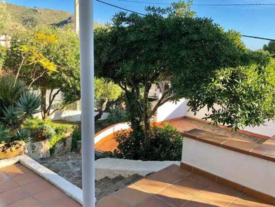 Amplio Apartamento Con Jardin En Almadrava Rosas Exterior foto